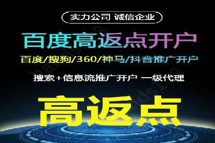 SEM专员实战案例解析